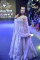 Actress Mannara Chopra Ethnic Wear Show Stopper For Ap fashion week