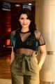 Telugu Actress Mannara Chopra in Hot Black Dress Pics