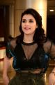 Telugu Actress Mannara Chopra in Hot Black Dress Pics