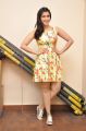 Jakkanna Actress Mannara Chopra Interview Pics