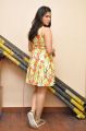 Actress Mannara Chopra Interview Pics about Jakkanna Movie