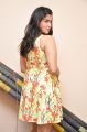 Actress Mannara Chopra Pics @ Jakkanna Interview