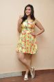 Jakkanna Heroine Mannara Chopra Interview Pics