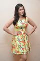 Jakkanna Actress Mannara Chopra Interview Pics