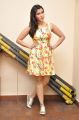 Actress Mannara Chopra Interview Pics about Jakkanna Movie