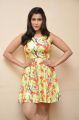 Actress Mannara Chopra Interview Pics about Jakkanna Movie