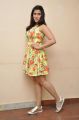 Jakkanna Actress Mannara Chopra Interview Pics