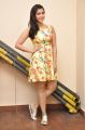 Actress Mannara Chopra Pics @ Jakkanna Interview