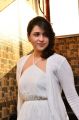 Actress Mannara Chopra Photos @ 25 Hours Restaurant NYE 2018 Curtain Raiser