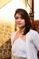 Telugu Actress Mannara Chopra Photos in White Dress