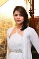 Actress Mannara Chopra Photos @ New Year Bash Curtain Raiser 2018