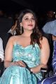 Actress Mannara Chopra Photos @ Sita Movie Pre Release