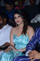 Actress Mannara Chopra Photos @ Sita Pre Release Function