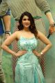 Actress Mannara Chopra Photos @ Sita Movie Pre Release