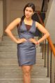 Telugu Actress Mannara Chopra Photoshoot Images