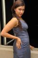 Telugu Actress Mannara Chopra Photoshoot Images