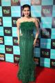 Actress Mannara Chopra Pics @ SIIMA Awards 2019 Day 1