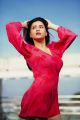 Actress Mannara Chopra Red Dress Photoshoot Pictures