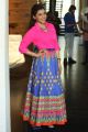 Actress Mannara Chopra Stills @ Rogue Movie Interview