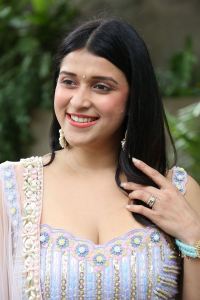 Actress Mannara Chopra New Stills @ Tiragabadara Saami Success Meet