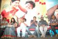 Mannaru Movie Audio Launch Stills