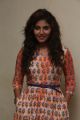 Actress Anjali @ Mapla Singam Movie Team Interview Photos