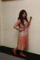 Actress Anjali @ Mapla Singam Movie Team Interview Photos