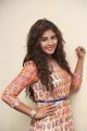 Actress Anjali @ Mapla Singam Movie Team Interview Photos