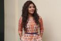 Actress Anjali @ Mapla Singam Movie Team Interview Photos