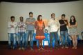 Maranthen Mannithen Movie Press Show Photos