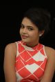 Marina Abraham at Telugu Feature Film Romance with Finance Press Meet