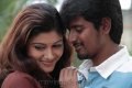 Sivakarthikeyan and Oviya in Marina Stills