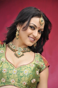 Telugu Actress Maryam Zakaria Hot Spicy Stills