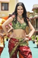 Telugu Actress Maryam Zakaria Hot Spicy Stills