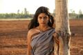 Actress Iniya in Masaani Tamil Movie Stills