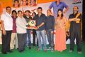 Masala Movie Platinum Disc Function Stills