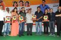 Masala Movie Platinum Disc Function Stills