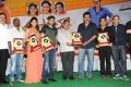 Masala Movie Platinum Disc Function Stills