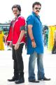 Ram, Venkatesh in Masala Telugu Movie Stills