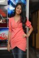 Actress Pooja Hegde at Mask Movie Press Meet Stills