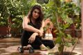 Actress Hansika Motwani At Meagamann Tamil Movie Photos