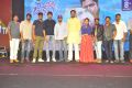 Meda Meeda Abbayi Pre Release Function Photos