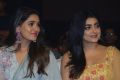 Meeku Maathrame Cheptha Pre Release Function Photos