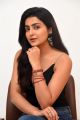 Meeku Maathrame Chepta Actress Avantika Mishra Interview Photos