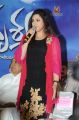 Telugu Actress Meena Photos @ Drishyam Movie Success Meet