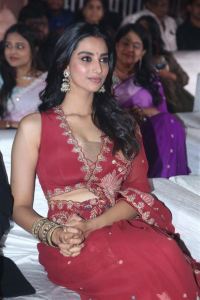 Actress Meenakshi Chaudhary Stills @ Lucky Baskhar Pre Release