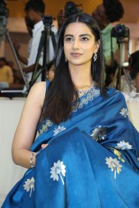 Lucky Bhaskar Actress Meenakshi Chaudhary Blue Saree Stills