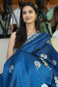 Lucky Bhaskar Heroine Meenakshi Chaudhary Blue Saree Stills