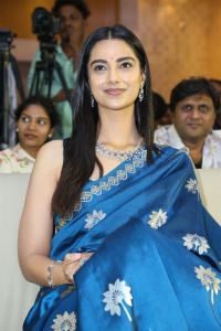 Lucky Bhaskar Heroine Meenakshi Chaudhary Blue Saree Stills