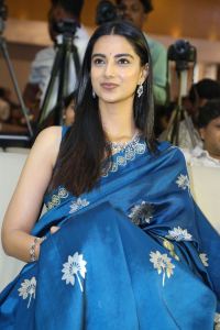 Lucky Bhaskar Actress Meenakshi Chaudhary Blue Saree Stills